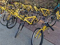 bicicletes grogues aparcades